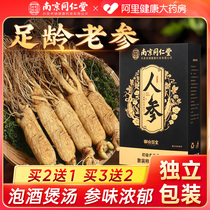 In Tongrentang Northeast Changbai Mountain Ginseng Ginseng Ginseng Dry stock Wine Pot Soup special medicinal herbs Courtesy Kit
