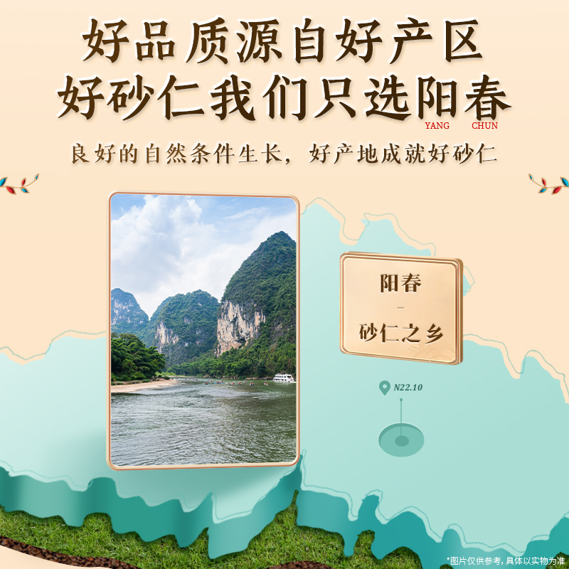 南京同仁堂砂仁阳春砂仁官方旗舰店正品砂仁果泡茶香料非中药材 - 图0