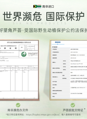 AMC南非进口芦荟胶官方旗舰店正品晒后修护补水舒缓保湿完美祛痘