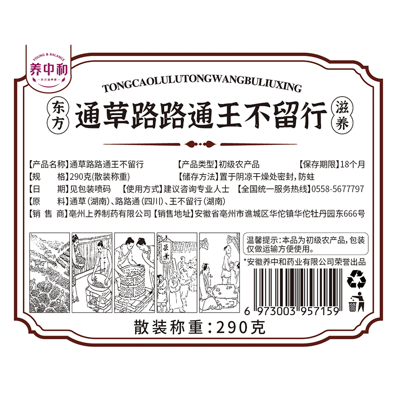 大通草王不留行路路通中草药茶非产后五红下奶汤哺乳期追奶增通乳 - 图1