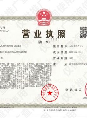 NUOWEIYA诺维娅黑头导出精华液100ml