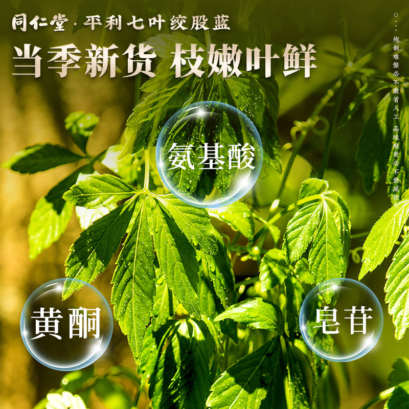 北京同仁堂平利绞股蓝茶叶七叶官方正品旗舰店高中草药材特野生级 - 图0