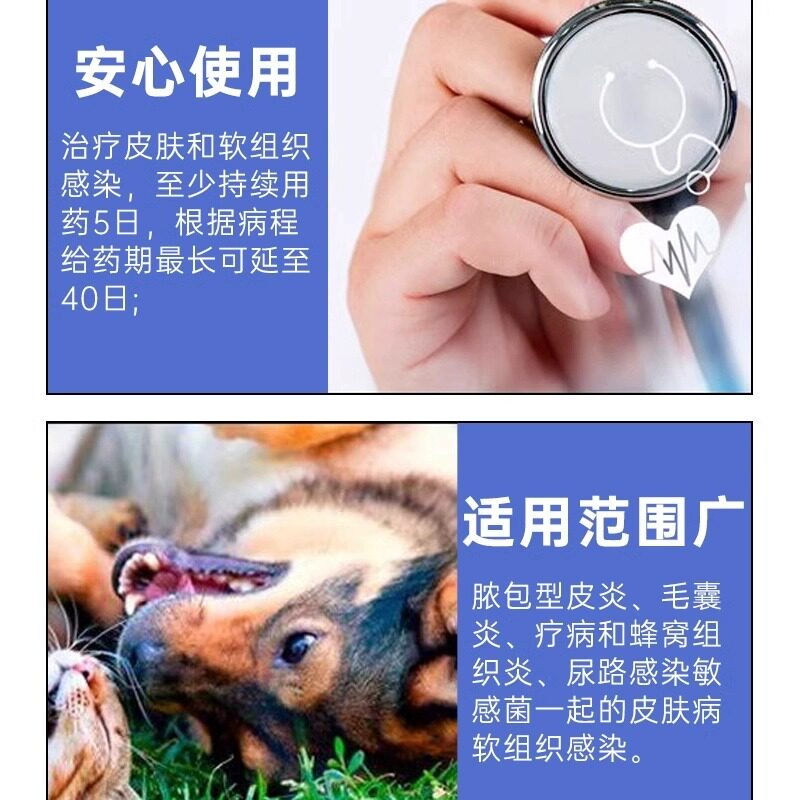 威隆麻佛美味片马波沙星片犬猫皮肤病脓皮症麻佛泌尿感染消炎药,淘宝优惠券,粉丝福利购,淘宝优惠卷