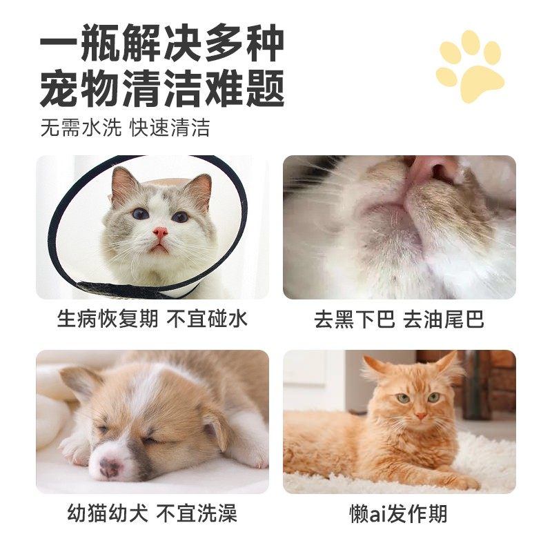 拜达尔宠物免洗泡沫猫咪狗狗沐浴露杀菌除臭留香沐浴液干洗慕斯,淘宝优惠券,粉丝福利购,淘宝优惠卷