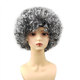 ແມ່ເຖົ້າ dress up wig ສີຜົມການຈັດສົ່ງເວັບໄຊທ໌