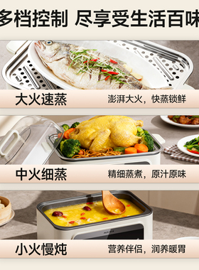 奥克斯多功能电蒸锅蒸汽锅