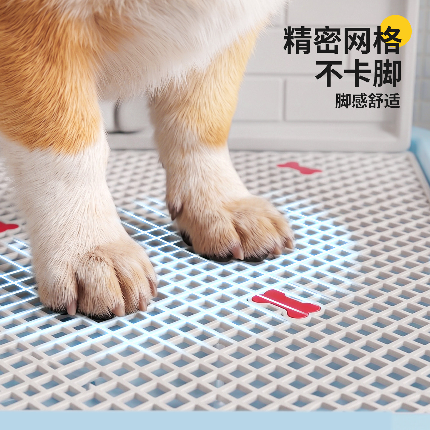 图3