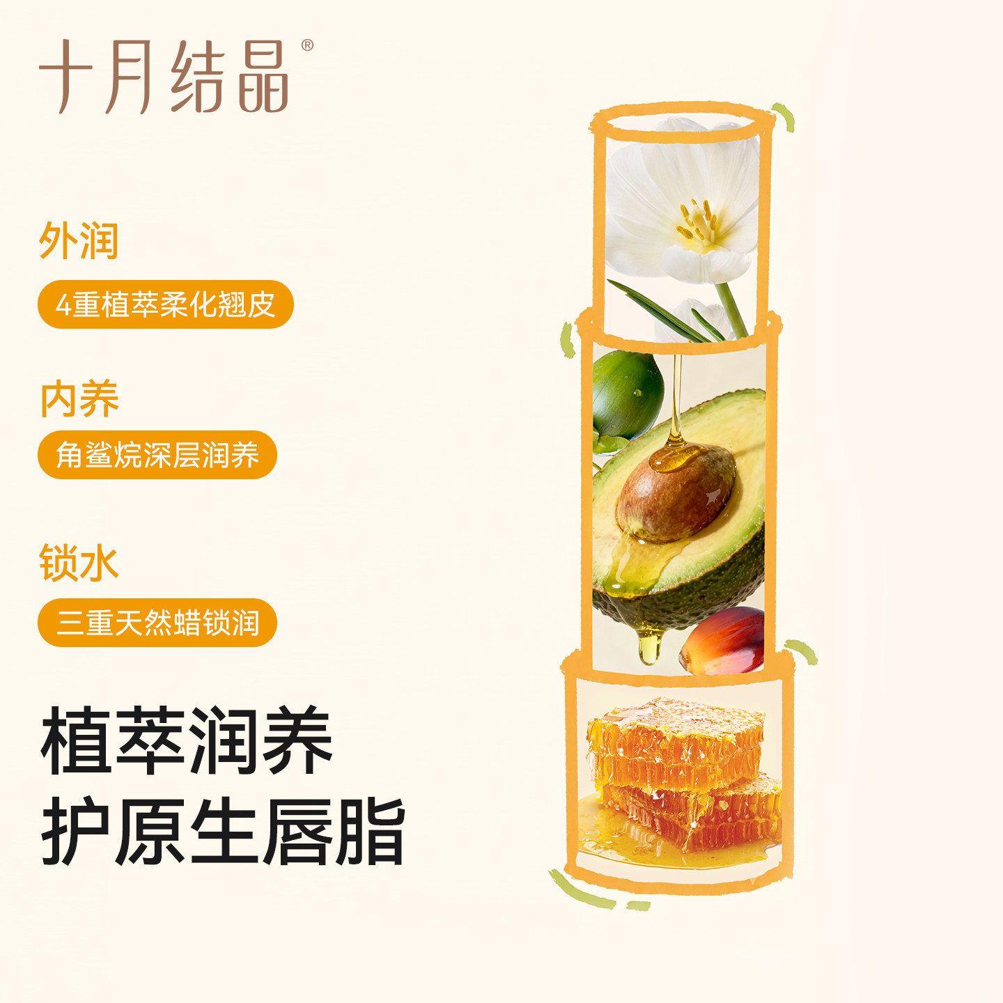 图 3