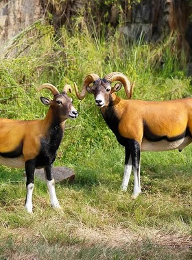 盘羊摆件雕塑玻璃钢仿真动物模型户外庭院公园林景观草坪装饰工艺