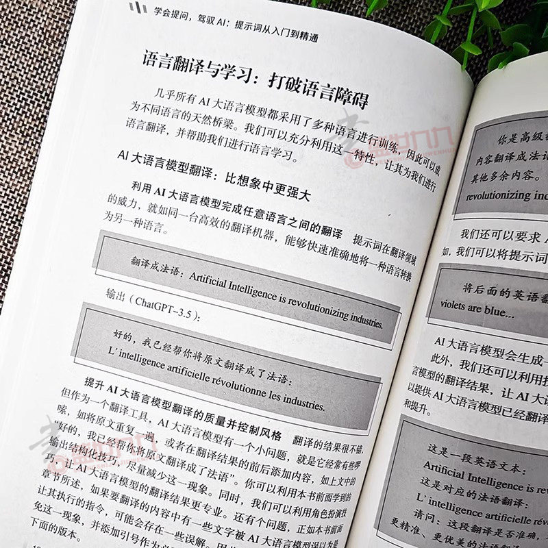 正版 学会提问 驾驭AI 提示词从入门到精通AI大语言模型使用deepseek如何与AI大语言模型对话 对话作图提示词技巧 程希冀著,淘宝优惠券,粉丝福利购,淘宝优惠卷