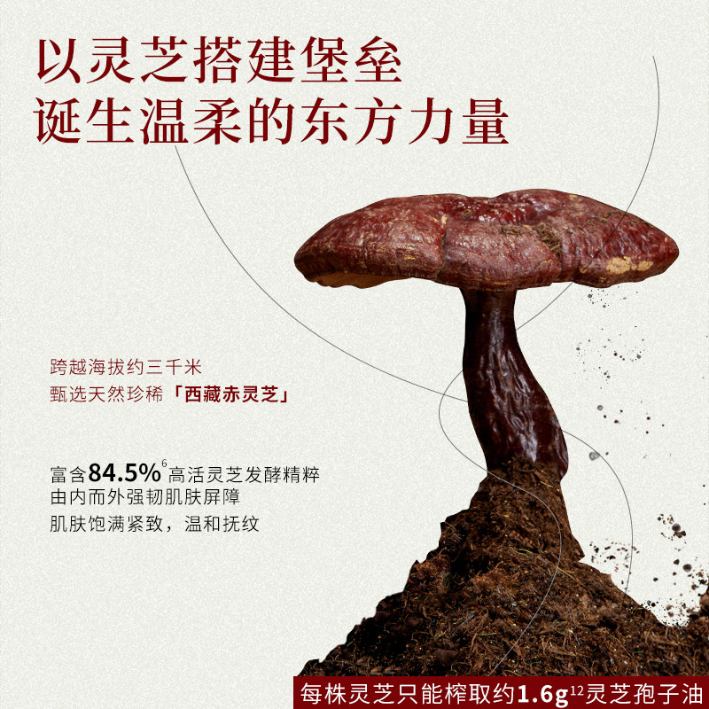 果本灵芝孢子面部护肤抗老以精华油 果本液态精华