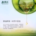 Cửa hàng trái cây hàng đầu Jojoba hydrating dưỡng ẩm làm dịu kem dưỡng nuôi dưỡng sửa chữa sản phẩm chăm sóc da cơ bắp nữ - Kem dưỡng da