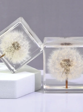 新款蒲公英方块树脂水晶生日礼品