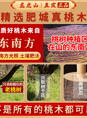 龙虎山发货桃木山鬼花钱吊坠道家真品项链朱砂八卦钥匙平安扣饰品