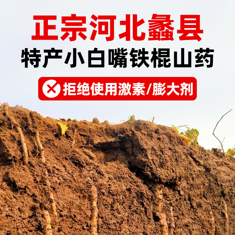 河北正宗小白嘴山药特产新鲜铁棍山药山药粉淮山药断节5斤包邮 - 图1