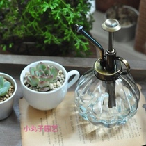 Retro art spray water jug small gas pressure household watering sprinkler European style glass small spray pot