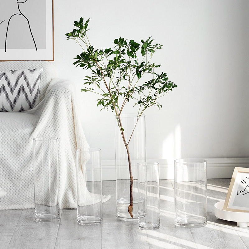 北欧透明花瓶玻璃瓶客厅插花摆件玻璃水养水培富贵竹马醉木特大号,淘宝优惠券,粉丝福利购,淘宝优惠卷