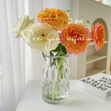 Посмотрите на вас в стиле стеклянный дом