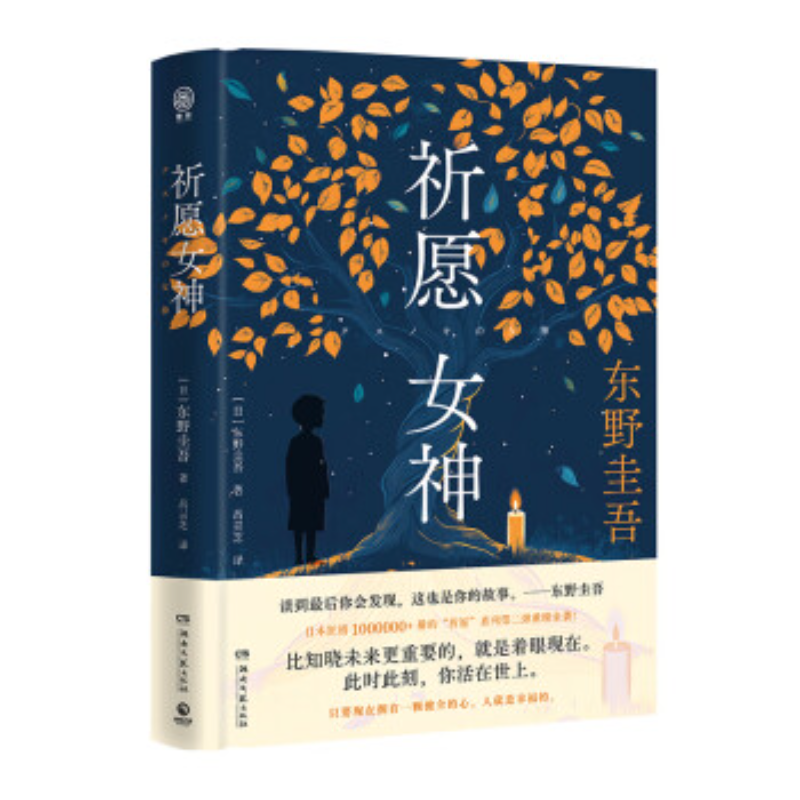 祈愿女神 东野圭吾重磅新作 祈念守护人同作者祈愿系列第二弹 你杀了谁无凶之夜彷徨之刃 假面游戏 白鸟与蝙蝠 祈祷落幕时小说 - 图2