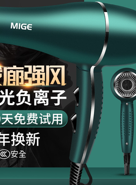 德系发廊电吹风机家用速干冷热理发店专用大功率负离子护发宿舍静