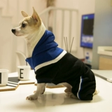 Direwolf Limited Limited Sports Sports Sweirite Dog Clothing осень и зимние плюшевые щенки маленькая собачья одежда для домашних животных