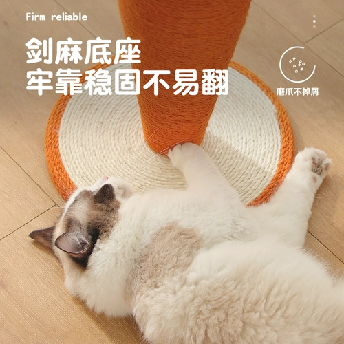 Морковная кошка хватает меч -ниопласы, поднимающиеся на кошку, хватайте диван, чтобы защитить кошку, хватает перхоть кота, схватите столб, размолотый когти