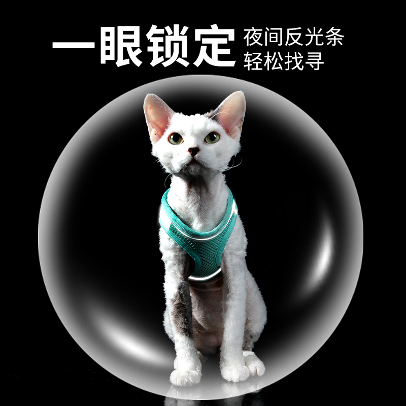 猫咪牵引绳猫绳子遛猫神器防挣脱背心式牵引绳猫链子宠物专用项圈-图3