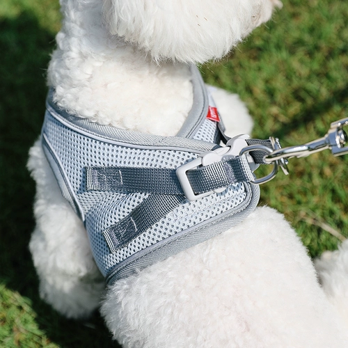 Жилет -тип собачья веревка маленькая собачья грудная ремешка Тедди Баргер щенки