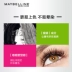 Maybelline Snapper Mascara Curling dài Không dày không thấm nước Chính thức xác thực - Kem Mascara / Revitalash