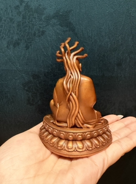 龙树菩萨/龙尊王佛/释迦佛/释迦牟尼佛/10cm红铜佛像佛堂供奉摆件