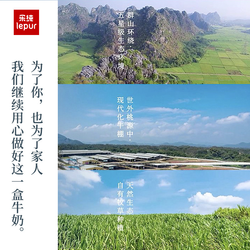 安享好物 安享B级纯奶-乐纯A2纯牛奶