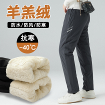 Minus 40-degree flush pant pants male and female outdoor waterproof windproof ski P cotton pants warm Harbin Anti-cold lamb suede