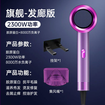 德国发廊电吹风机大功率负离子护发静音