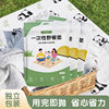 Disposable picnic mat moisture-proof outdoor camping thickened spring