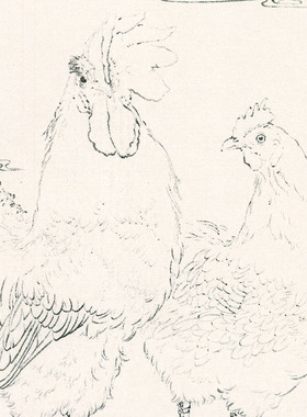 工笔画白描底稿小民花鸟相望