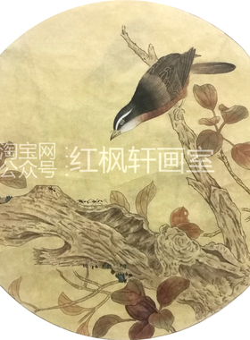 柳叶荷塘熟宣纸勾线笔手绘稿国画