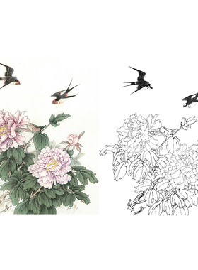 【有步骤】打印国画工笔画牡丹花鸟白描底稿临张秋怡《富贵白头》