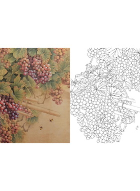 工笔画白描底稿花鸟素材葡萄临摹