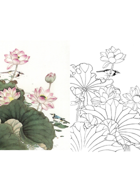 有步骤王少卿工笔画白描底稿花鸟