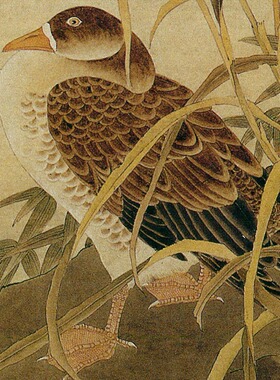 临王少卿工笔画白描底稿牡丹