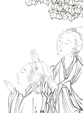 王少卿工笔画白描底稿临摹