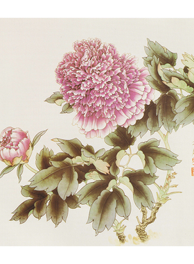 有步骤花鸟国画白描底稿小品牡丹