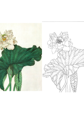 【有步骤】临金建成画稿工笔画白描底稿国画荷花小品《映日荷花》