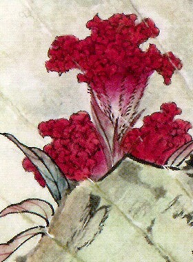 花鸟工笔画白描底稿临衍达葡萄