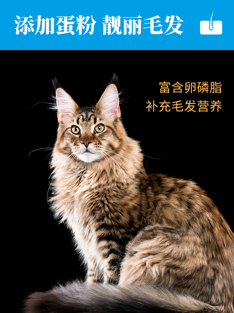 力狼猫粮成猫幼猫蓝猫流浪猫全阶段专用增肥发腮奶糕全价鲜肉4斤 - 图1