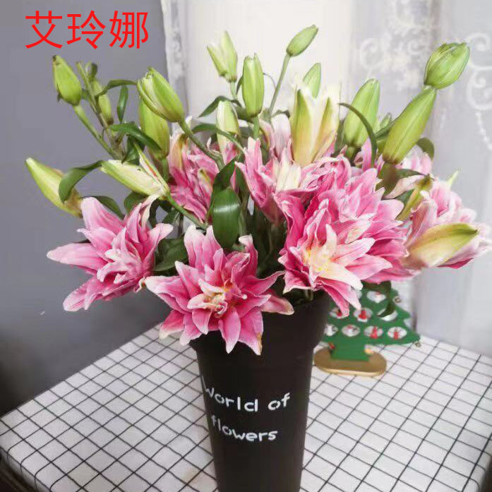 云南基地直发香水百合花鲜花瓶插重瓣百合鲜花室内鲜切花顺丰包邮 - 图0