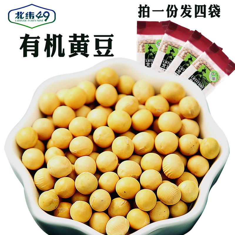 北纬四十九度食品专营店北纬49纯东北有机非转基因年新天然大豆打豆浆专用黄豆1600g0