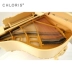 Cloris clorris tùy chỉnh đàn piano phong cách baroque SF-152 nhập khẩu cao - dương cầm