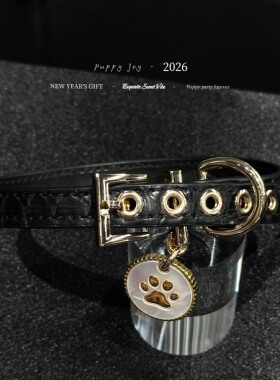 PuppyJoy独家「暗金序曲-项圈」chocker项圈高级手工定制