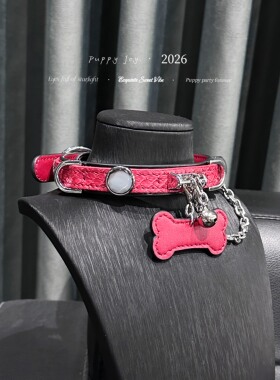 PuppyJoy「禁忌之恋」项链颈带项圈小众男女choker项圈手工定制